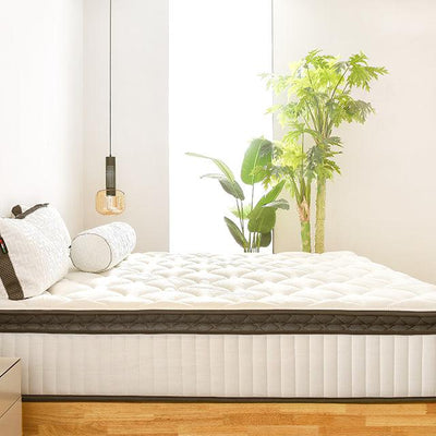 a minimalistic look of a mattress on top of a bed frame and on its side are some indoor plants to beautify the bedroom