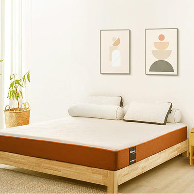 Valmori Mattress on top of a wooden bed fram with an indoor plant on its left side and two plant frames on the wall